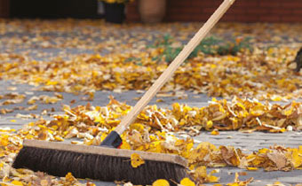 Brushes and Brooms