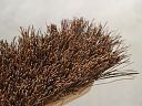 Faithfull Stiff Bassine Broom 300mm with Handle 3