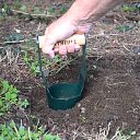 Faithfull Countryman Hand Bulb Planter 4