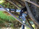 Faithfull Countryman Bypass Telescopic Lopper - Ratchet 7