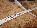 Faithfull Fast Rewind Enclosed Long Tape Measure - 30M/100ft 4